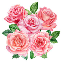 flowers of vintage roses. Hand painted, isolated objects on white background