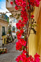Vertical shot of red flowers gracing the street of a village on the Amalfi Coast, Italy
