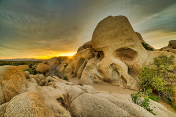Beautiful view of the sunrise from the Skull rock in Joshua Tree National Park, California