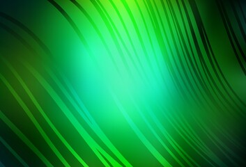 Dark Green vector backdrop with curved lines.