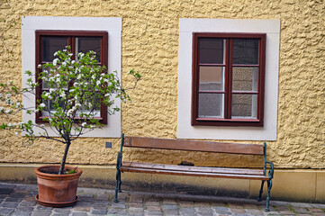 Fototapeta na wymiar blossomed tree and bench old street in Vienna