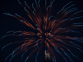 fireworks in the night sky