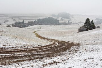 Winding dirt road between fields and trees on a misty winter day - 498601230