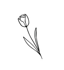 Minimalistic floral graphic sketch drawing, trendy tiny tattoo design, floral botanical elements vector illustration