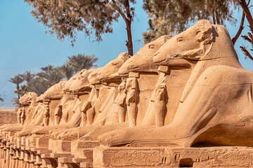 Famous alley of Karnak sphinxes with a Goat heads in Luxor or ancient Thebes. Travel destinations...