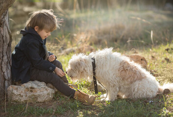 a little boy in vintage clothes walks in nature with a white shaggy dog in spring..