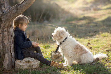 a little boy in vintage clothes walks in nature with a white shaggy dog in spring..