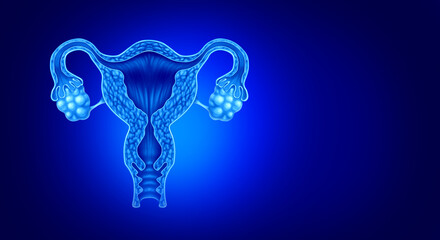 Uterus And ovaries anatomy concept of female fertility or infertility condition with fallopian tubes with tissue growth