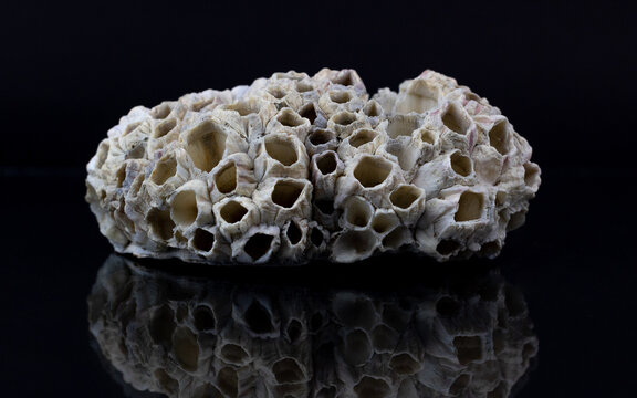 Photo Of An Alabaster And A Black Background