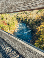 Vertical shot of a bridge over a river in Pittsburgh forest with beautiful trees