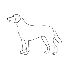 Vector flat labrador dog isolated on white background