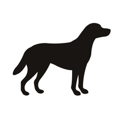 Vector flat labrador dog silhouette isolated on white background