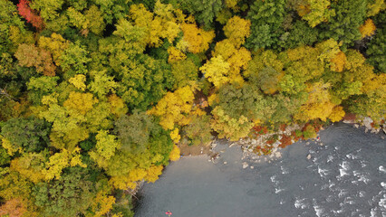 Aerial view of a beautiful lake surrounded by autumn trees in Pittsburgh, PA