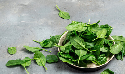 Spinach. Raw organic fresh baby spinach leaves in a metal bowl on dark background. banner, menu, recipe place for text, top view