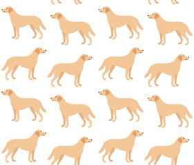 Vector seamless pattern of flat labrador dog isolated on white background