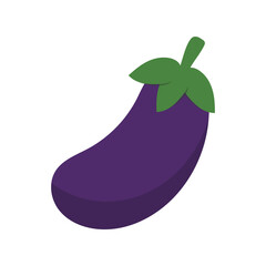 Eggplant vector .isolated on white background ,Vector illustration EPS 10