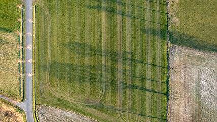 Aerial view geometric farming fields, showing a green meadow and plowed fields, captured with a drone. High quality photo