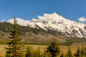 Fototapeta na wymiar Snowy mountain in Spring