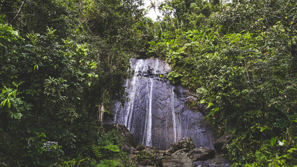 La Coca falls in EL Yunque Puerto Rico