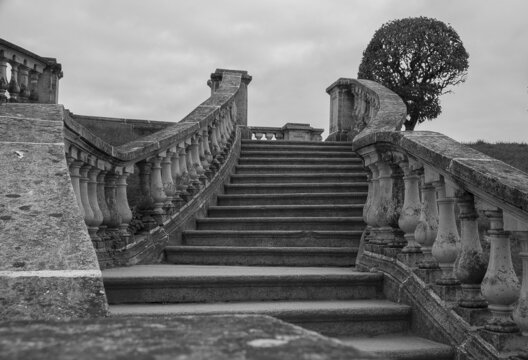 Antique stone staircase with balustrade leading to tree on a top on a hill, black and white photo