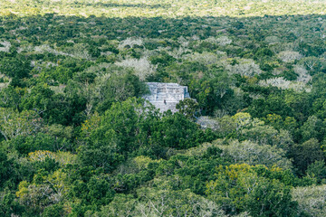 Fototapeta premium Imágenes de la zona arqueológica de Calakmul, en el estado de Campeche (México)