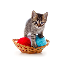 Fototapeta na wymiar Gray kitten with balls in a basket.