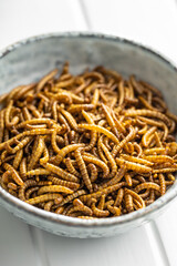 Fried salty worms. Roasted mealworms in bowl.