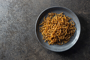 Fried salty worms. Roasted mealworms on plate.
