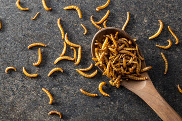 Fried salty worms. Roasted mealworms on wooden spoon.