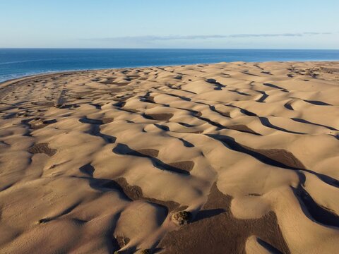 Aerial drone landscape of Maspalomas golden sand dunes at sunrise, Gran Canaria, Canary Islands, Spain