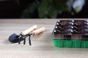 Garden tools with vegetable seedlings. Wooden background