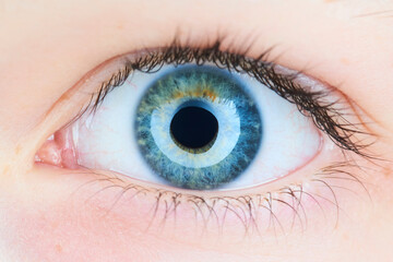 Macro of blue child girl eye. High selective focus. Detail of eye