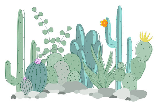 Kit of different green succulents on a white background. Vector cactus drawn with simple lines.