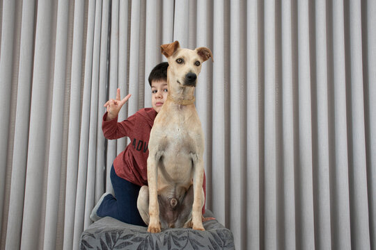 Boy And Dog Together On An Ottoman In The Living Room Of A Modern House. Child Partner Of Your Best Pet Friend.