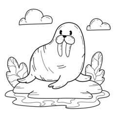 animals coloring book alphabet. Isolated on white background. Vector cartoon walrus.