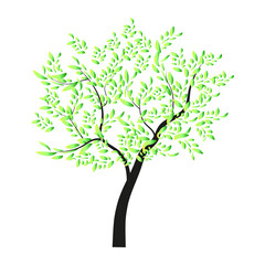 A tree with many green gradient leaves on a white background. Symbol, decorative element, stylized image for emblems, natural products.