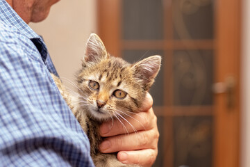 The man holds a small kitten in his arms and hugs him
