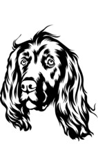 Obraz premium Gordon Setter 1