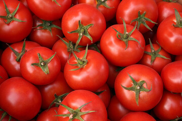 background of ripe natural organic red tomatoes.
