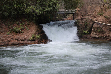 waterfall in the forest