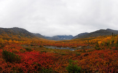 Autumn colorful tundra on the background mountain peaks in cloudy weather. Mountain landscape in Kola Peninsula, Arctic, Khibiny Mountains.