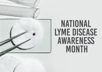 Concept for National Lyme Disease Awareness Month. Abstract medical laboratory. Research of ixodid...