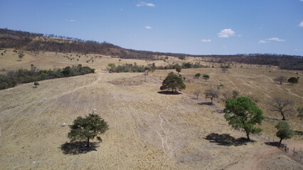 view of the grand canyon