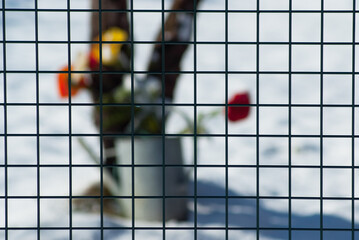 metal mesh, in the photo the fence mesh on a white background, in the background the silhouette of...