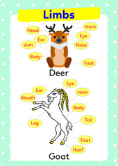 Worksheet on animals and their limbs