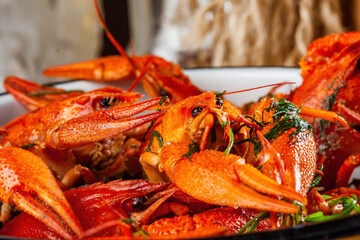 Boiled crawfish or crayfish with herbs in a white plate