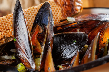 Cooked mussels with toasted bread in a plate. Close up