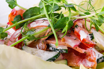 Vegetable salad with radish, tomato, cucumber and herbs