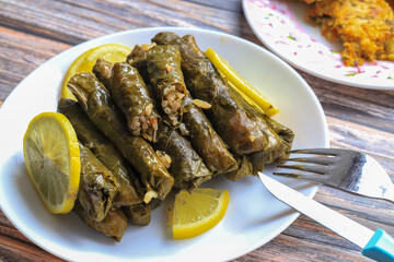Delicious dolma (sarma) stuffed grape leaves rice, white yogurt sauce. Lebanese dolma sarma on plate. Lebanon turkish greek middle eastern cuisine. (Turkish name; Yaprak sarma)