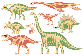 Fototapeta na wymiar Skeleton of carnivorous and herbivorous foot-and-mouth disease. Archaeological excavations of dinosaur fossils. Studies of ancient animals. Vector illustration on a white background.